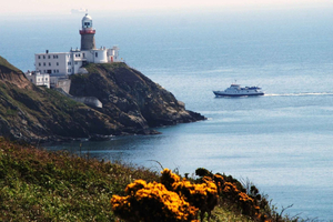 Bahía de Dublín: crucero desde el centro de la ciudad hasta Dun Laoghaire