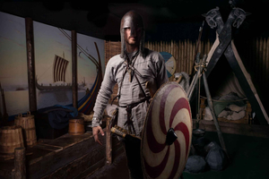 Dublin: Dublinia Viking and Medieval Museum Entry Ticket