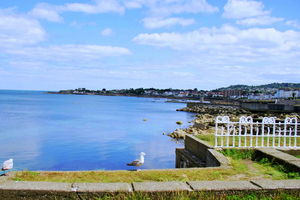 Dublin: Dun Laoghaire Coastal Walking Tour with Local Guide