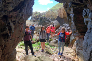 Dublin: Howth Safari Hiking Tour