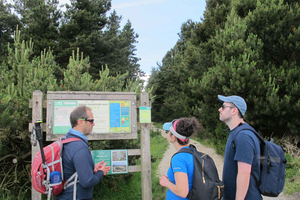 Dublin: Mountains and Megaliths Trek