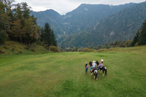 Dublin Mountains: Scenic Guided Horseback Ride