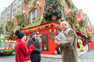 Dublin: Private Pub Tour
