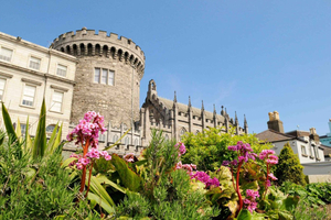 Dublin Private Tour with Skip-the-line Dublin Castle Tickets