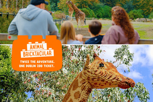 Ticket de entrada al Zoo de Dublín: una experiencia salvaje con más de 400 animales