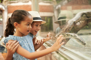 Dublin Zoo: Skip-the-Line Tickets with Private Transfers