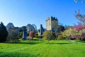 From Dublin: 3-Day Cork, Ring of Kerry, Cliffs of Moher Tour