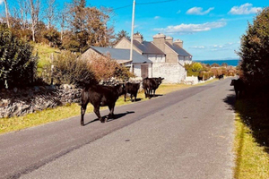 De Viagem de um dia à Ilha de Achill e Westport