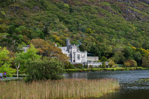 From Dublin:Connemara,Kylemore Abbey,Sheepdog demo & Galway