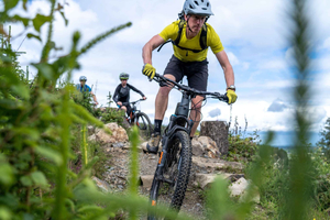 From Dublin: Electric Bike Experience