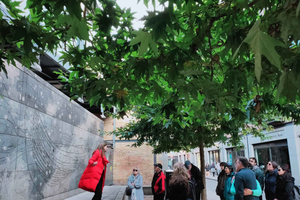 Homes of Dublin, Hidden History