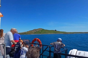 Dublín: tour en barco por la costa de Howth e Ireland's Eye