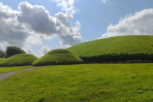 Tour privado por Newgrange y la colina de Tara