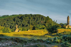Shore Tour from Dublin: Wicklow Mountains & Dublin