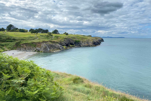 Wicklow: Guided Cliff Walk with Seals and Town Tour w/Picnic