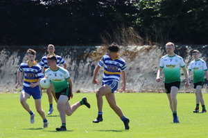Dolphin Park, Templeogue Synge Street GAA grounds