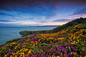 Von Halbtägige geführte Küstentour zum Dorf Howth