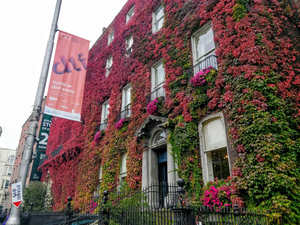 Kildare Street and University Club