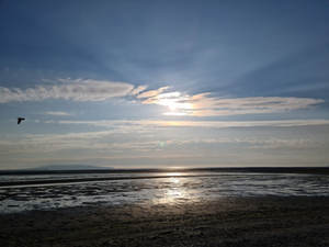 Merrion Strand