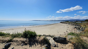 Shellybanks Beach