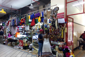 Tour panoramico e culturale della città di Durban