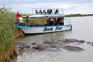 Durban: DumaZulu Cultural Village & Bootssafari Tagestour