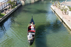 Durban: Gondola Ride