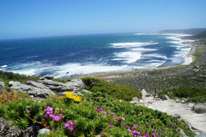 Da tour di 7 giorni tra Wild Coast, Port Alfred e Gqhebeha