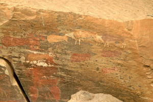 Da tour delle montagne del Drakensberg e delle cascate di Howick