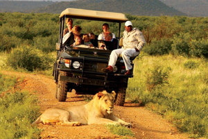 Safari d'une demi-journée au parc Natal et à la réserve de Tala depuis Durban