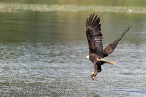 Zululand: birdwatching ed esperienza culturale