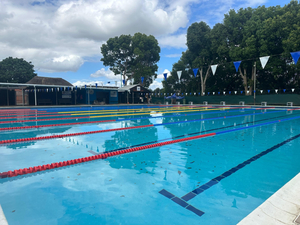 Beavers Swimming Club