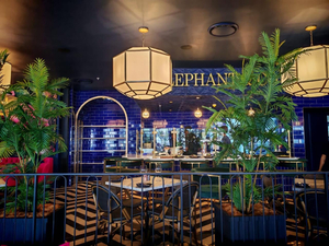 Elephant & Co Pavilion
