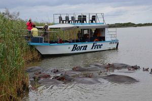 Durban Wildlife Safari: Get Up Close with Nature