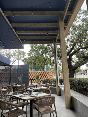Ocean Basket Windermere