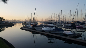 Point Yacht Club