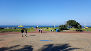 Suncoast Beach