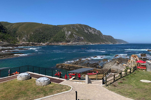 Jednodniowa wycieczka Garden Route – z Port Elizabeth do Tsitsikammy