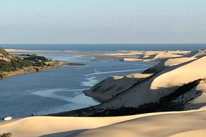 Garden Route: aanpasbare privétour met gids
