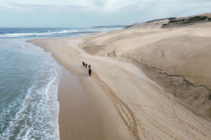 Gqeberha: Beach Horse Ride, Lunch, & Game Drive Day Trip