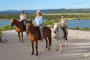 Jeffreys Bay: Guided Horseback Ride on the Beach