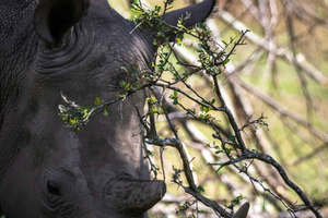 Kragga Kamma Game Park