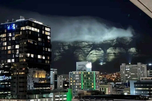 Port Elizabeth: 11-Day Safari & Culture Tour to Joburg