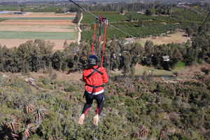Port Elizabeth: Addo Day Trip with Lunch
