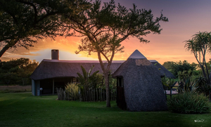 Addo Wildlife