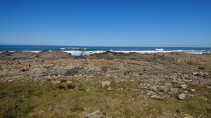Black Rock Beach