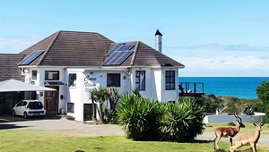 Cove View B&B