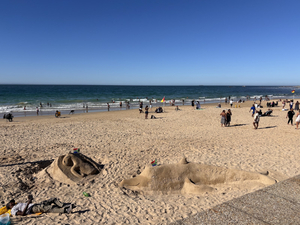 Hobie beach