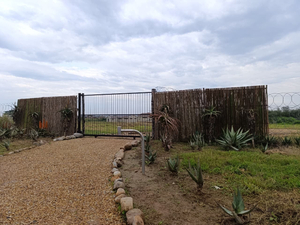 Olive Grove Addo