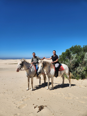 Papiesfontein Beach Horse Rides